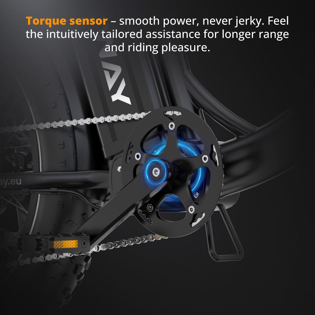 HITWAY BK6S Plus Cargo Electric Bike – imagine 2