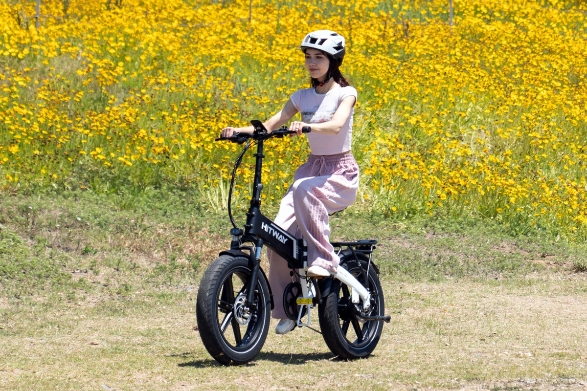HITWAY BK10S Folding Electric Bike – imagine 9