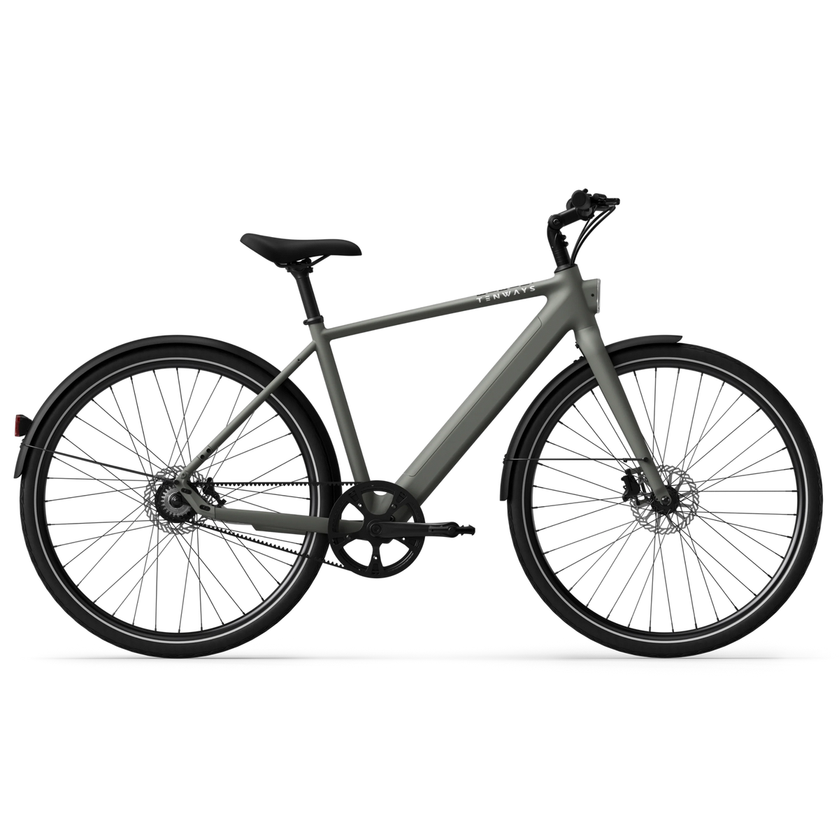 TENWAYS CGO600 Pro, imagine oficială exemplu Willow Mist
